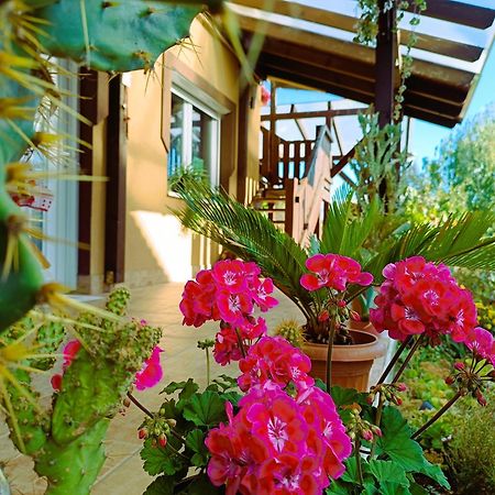 Holt-Tisza Vendeghaz Hotel แซแก็ด ภายนอก รูปภาพ