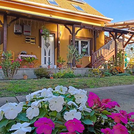 Holt-Tisza Vendeghaz Hotel แซแก็ด ภายนอก รูปภาพ