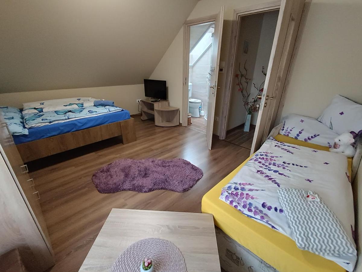 Holt-Tisza Vendeghaz Hotel แซแก็ด ภายนอก รูปภาพ