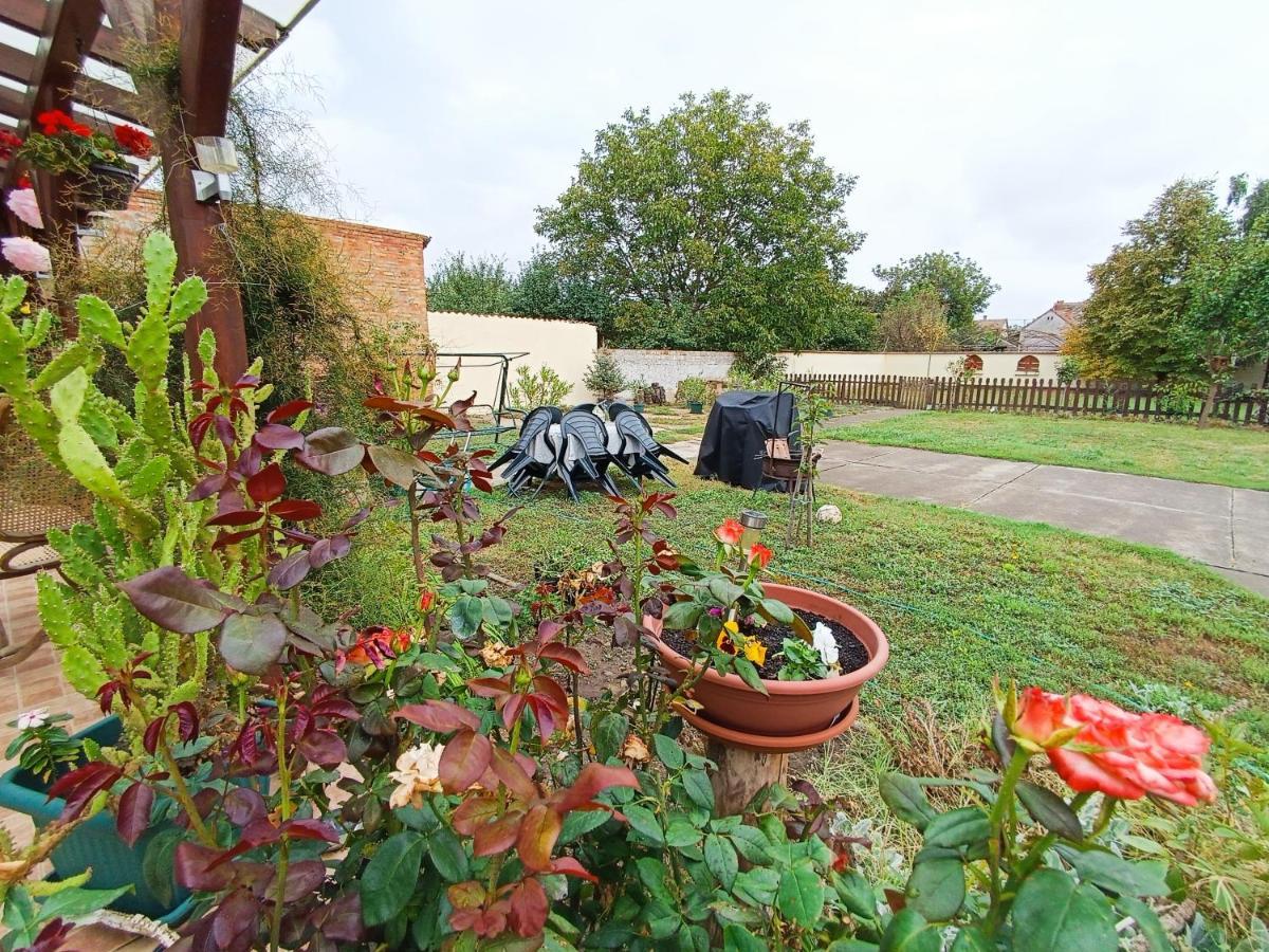 Holt-Tisza Vendeghaz Hotel แซแก็ด ภายนอก รูปภาพ