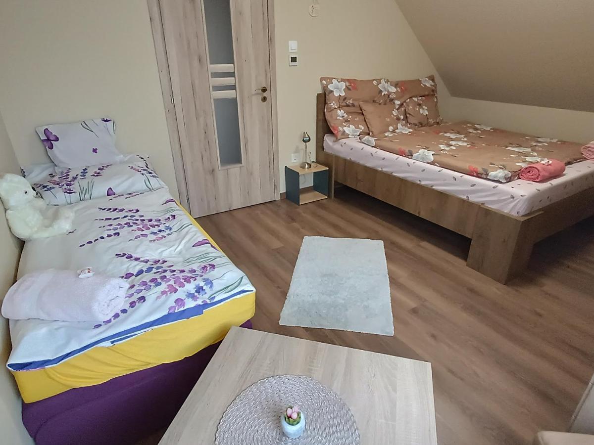 Holt-Tisza Vendeghaz Hotel แซแก็ด ภายนอก รูปภาพ