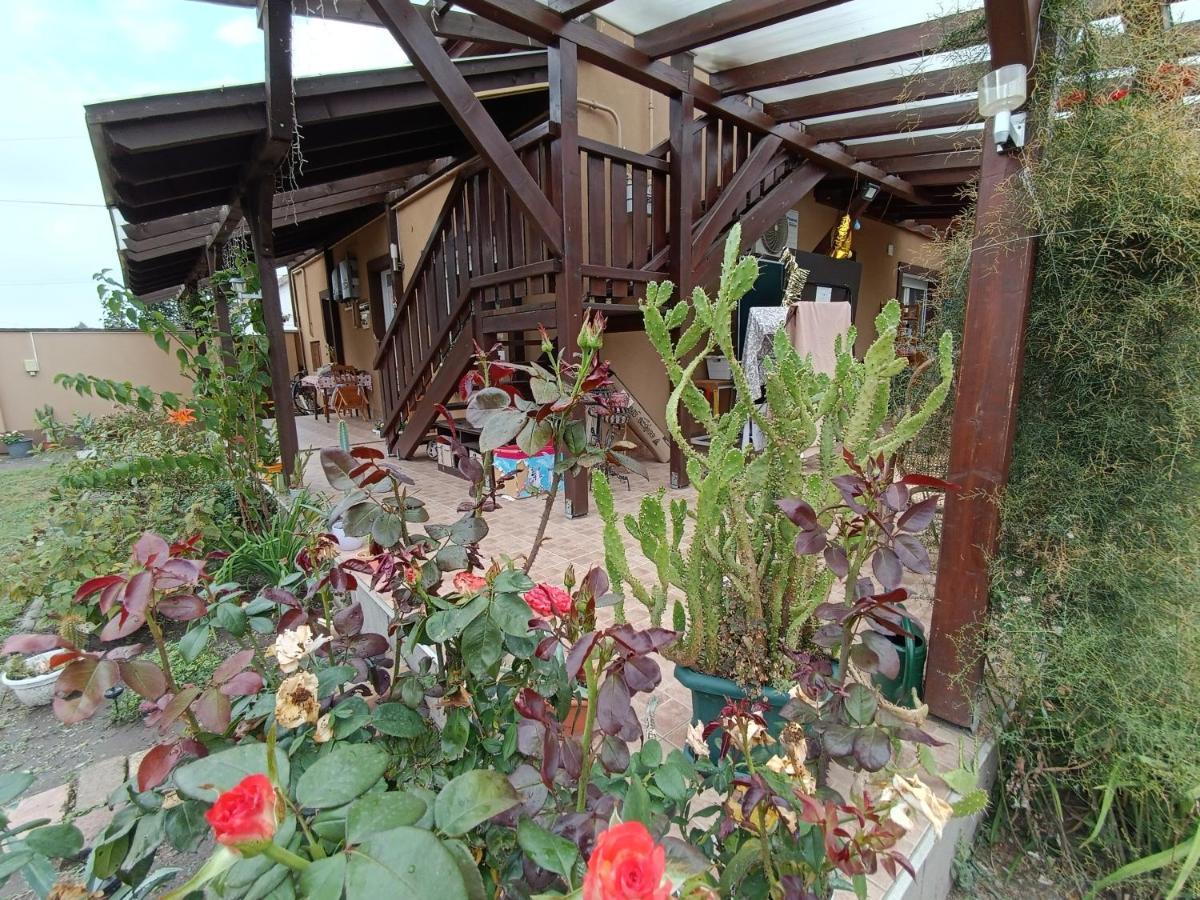 Holt-Tisza Vendeghaz Hotel แซแก็ด ภายนอก รูปภาพ