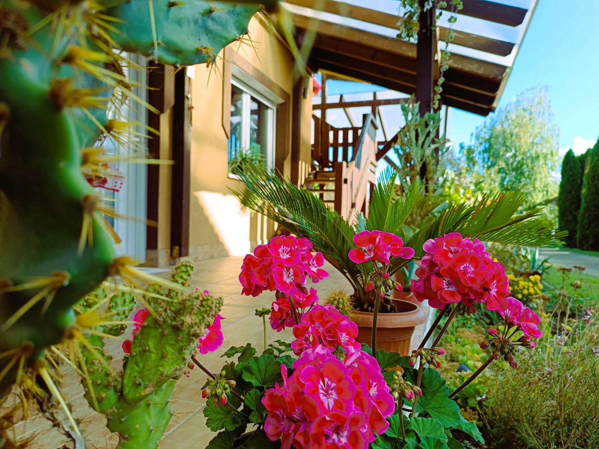 Holt-Tisza Vendeghaz Hotel แซแก็ด ภายนอก รูปภาพ