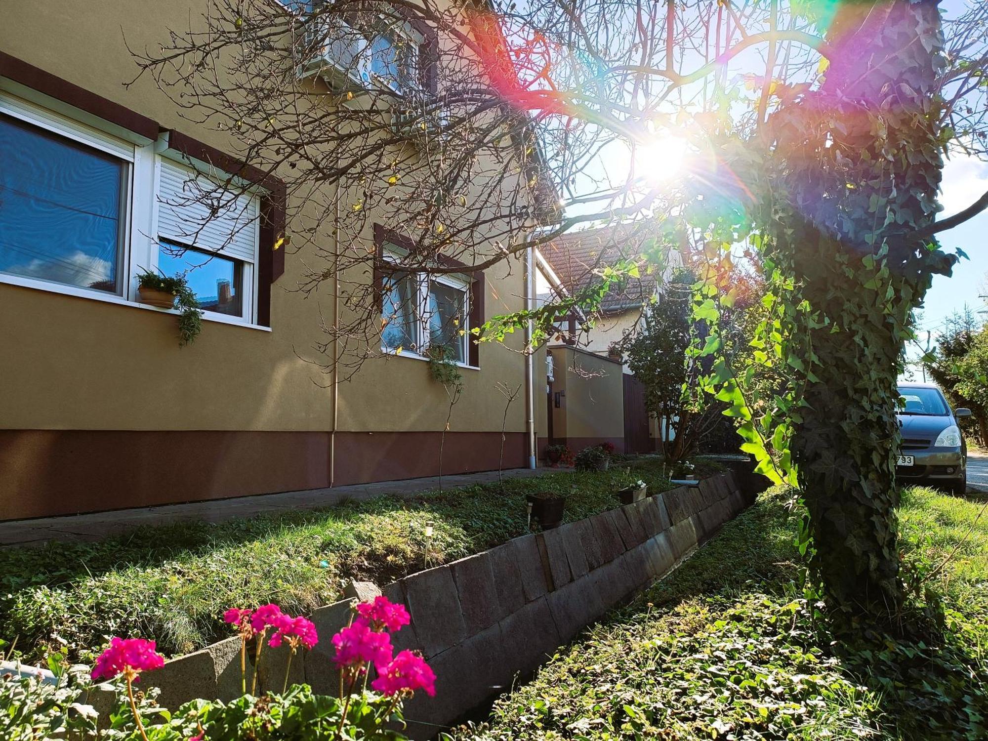 Holt-Tisza Vendeghaz Hotel แซแก็ด ภายนอก รูปภาพ