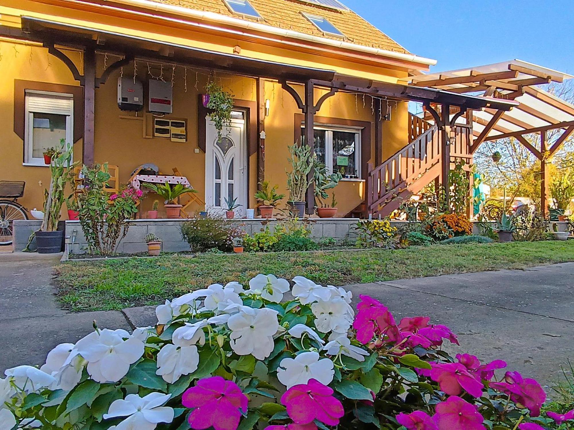 Holt-Tisza Vendeghaz Hotel แซแก็ด ภายนอก รูปภาพ