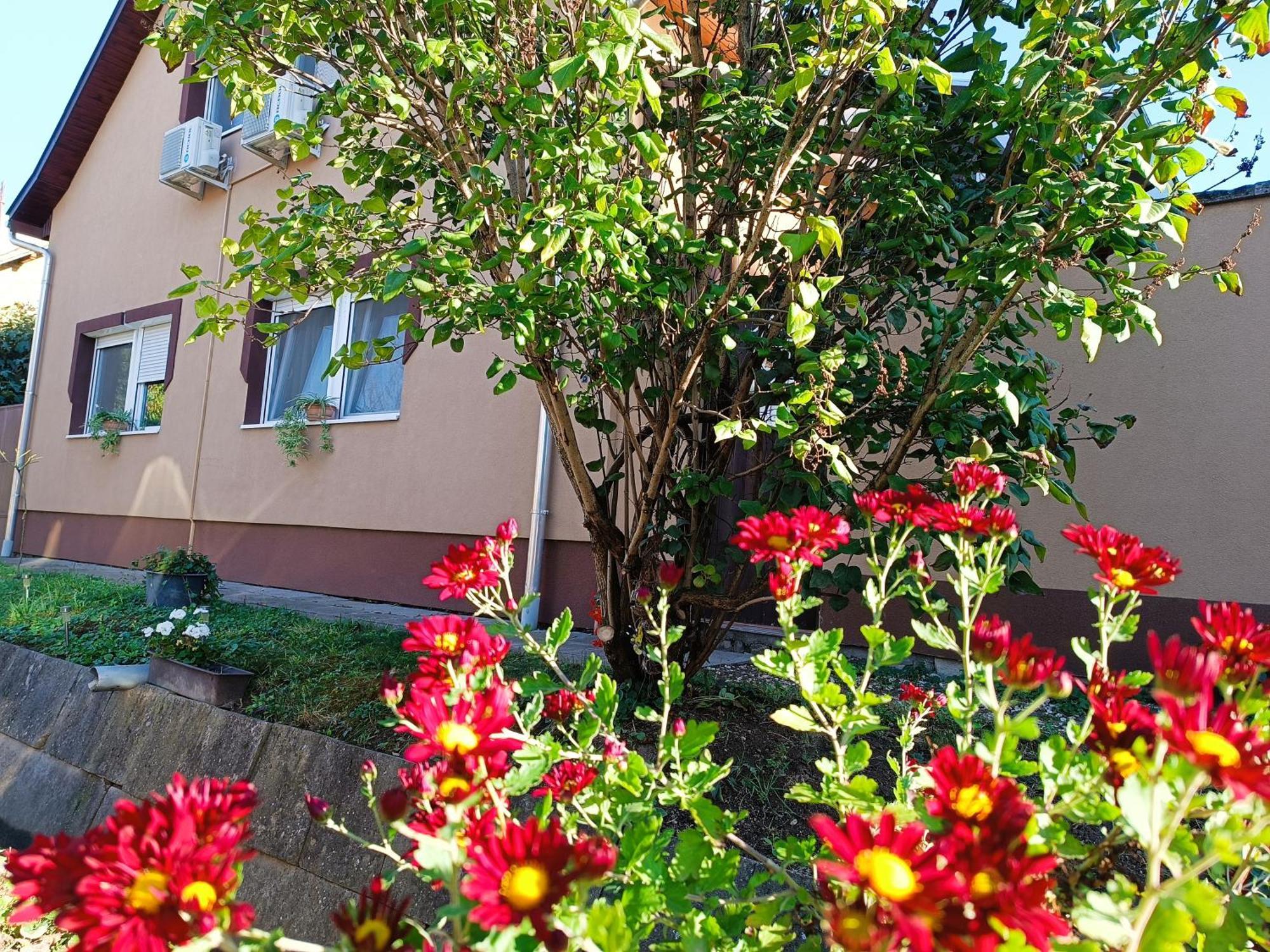 Holt-Tisza Vendeghaz Hotel แซแก็ด ภายนอก รูปภาพ